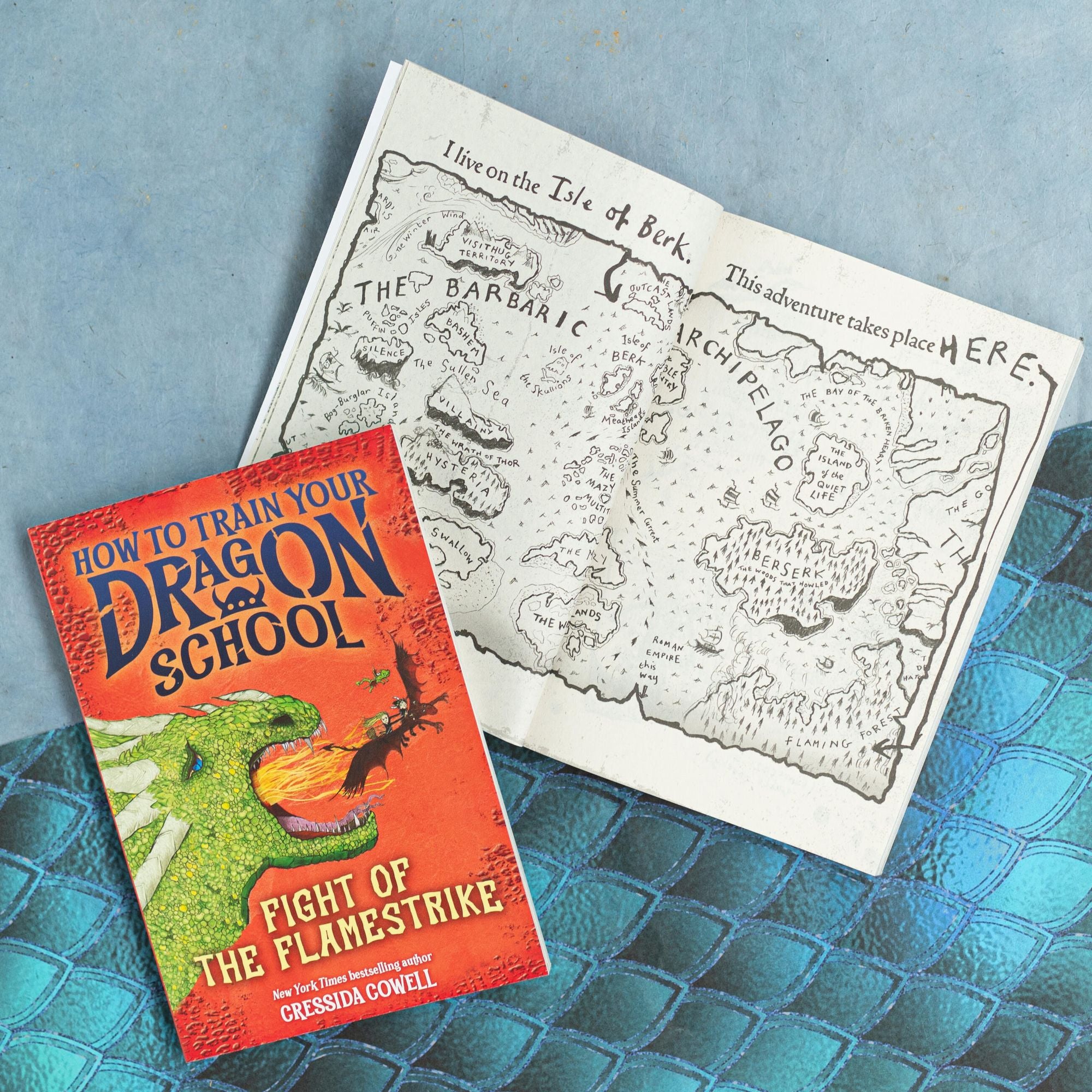 How to Train Your Dragon School: Fight of the Flamestrike