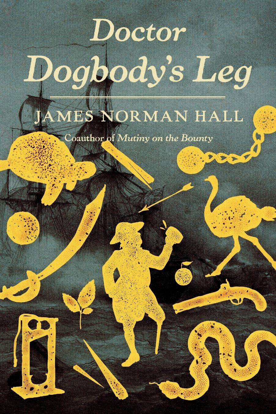 Doctor Dogbody's Leg: A Novel