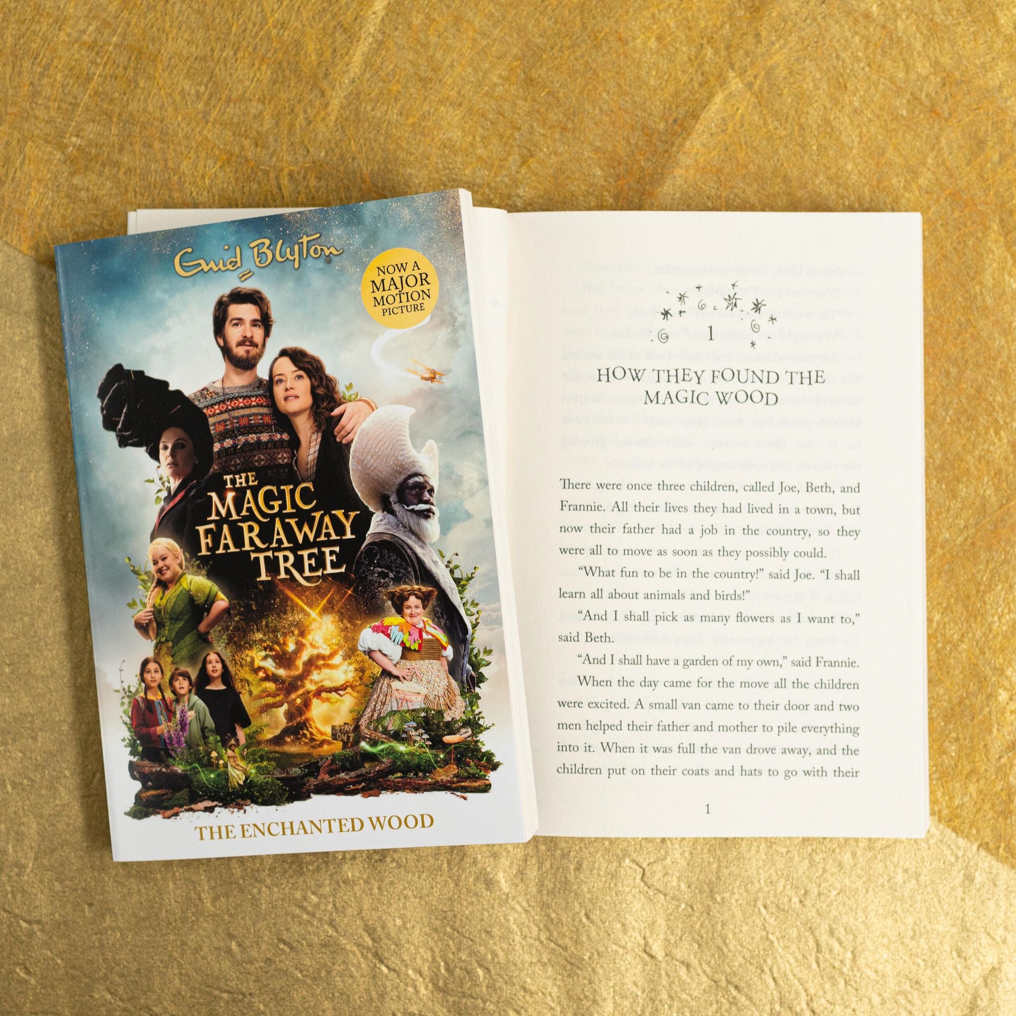The Magic Faraway Tree: The Enchanted Wood