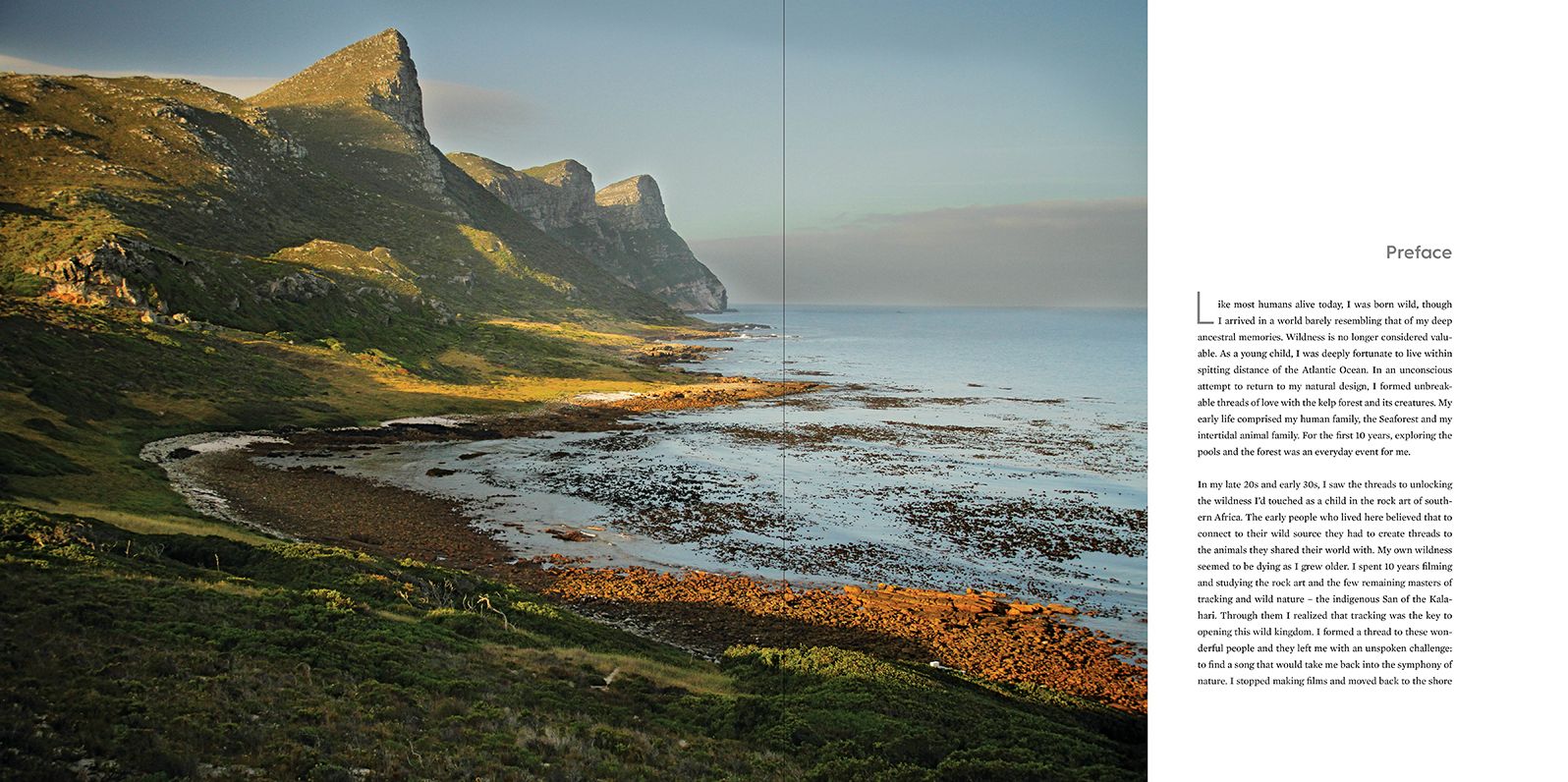 Underwater Wild: My Octopus Teacher's Extraordinary World