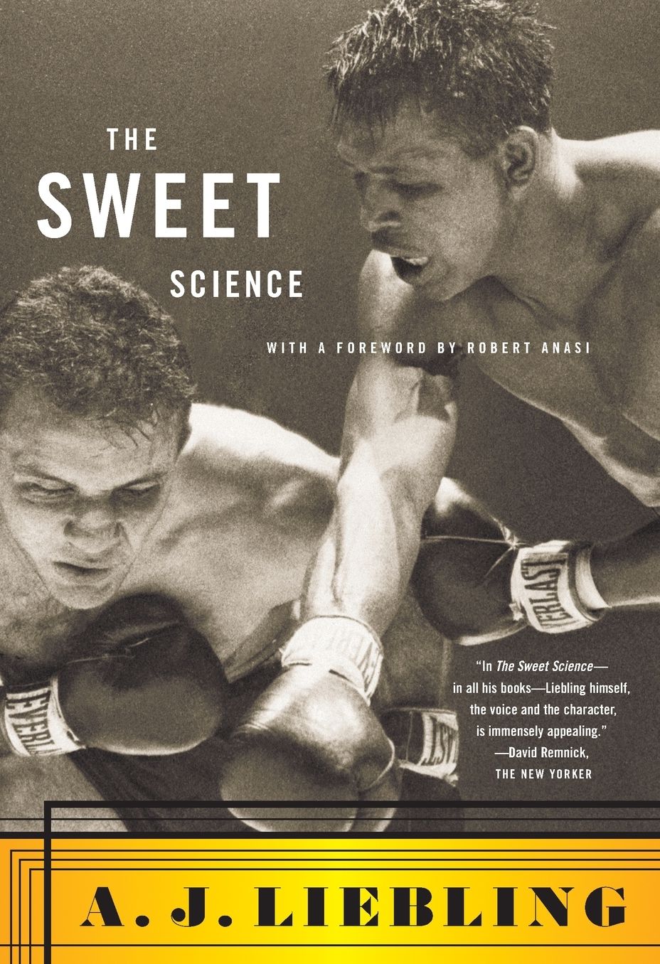 The Sweet Science