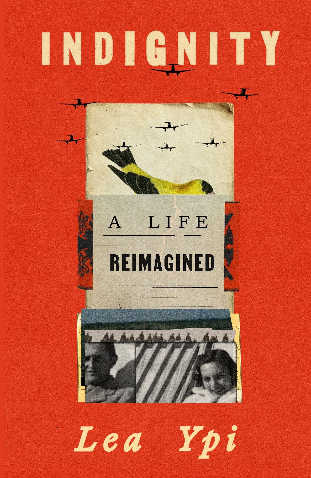 Indignity: A Life Reimagined