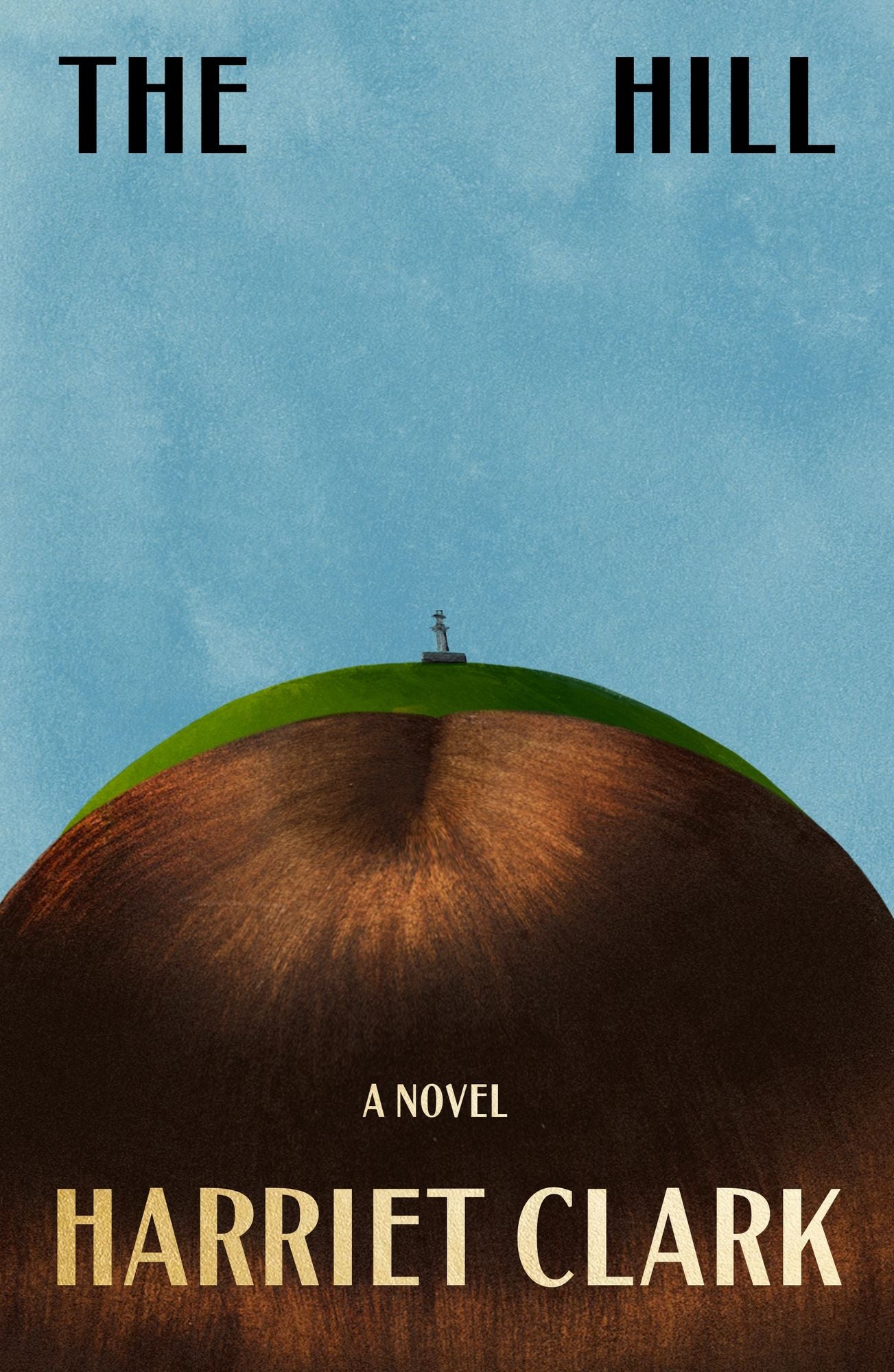 The Hill: A Novel