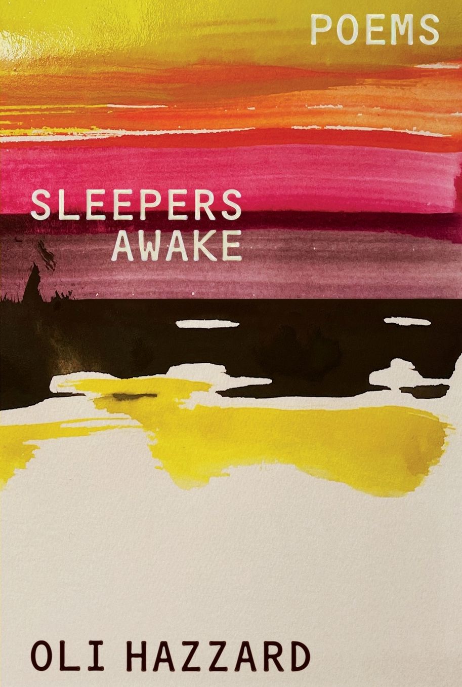 Sleepers Awake: Poems
