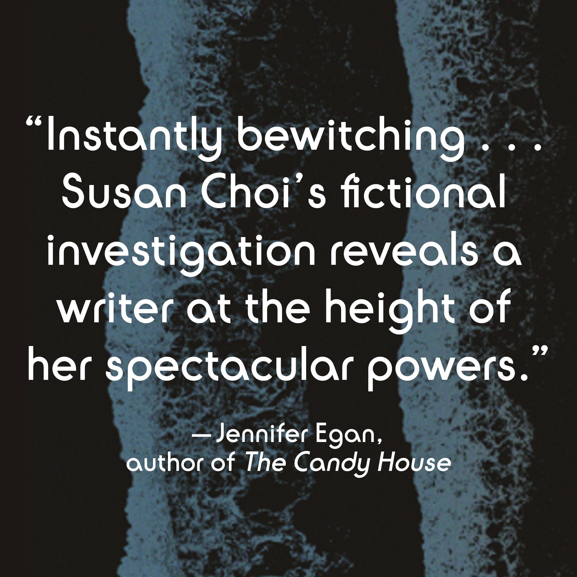 Flashlight: A Novel