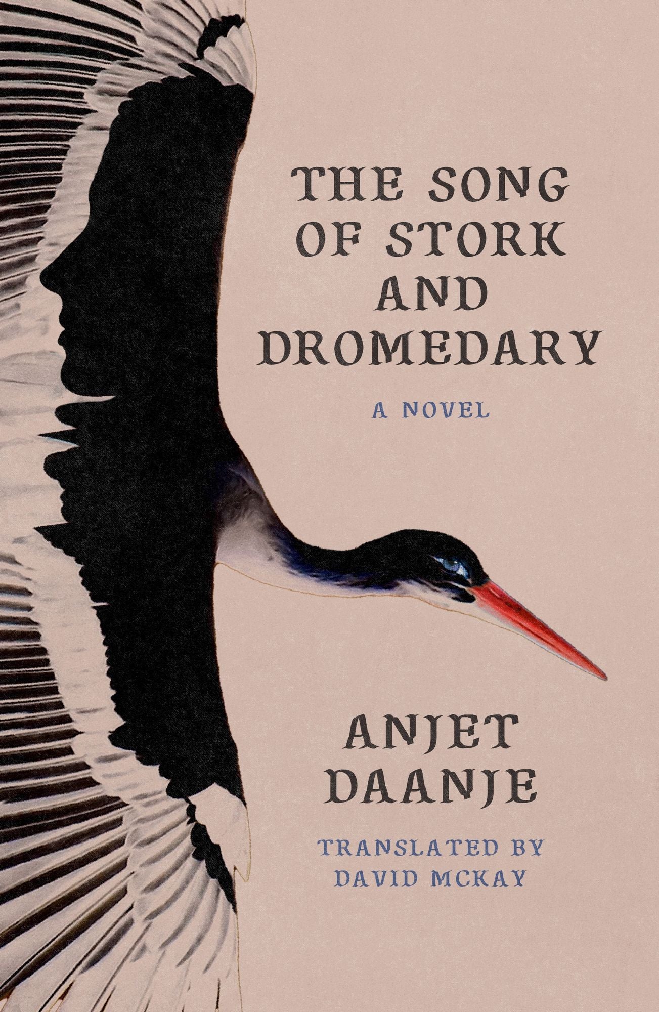 The Song of Stork and Dromedary: A Novel