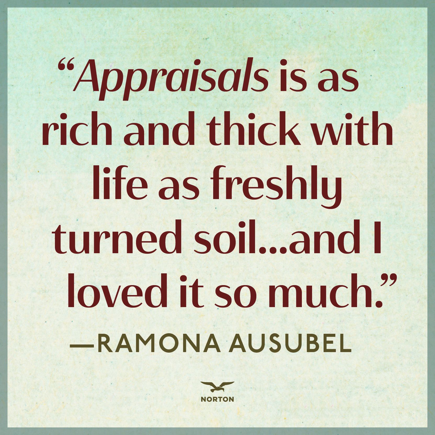 Appraisals: A Novel