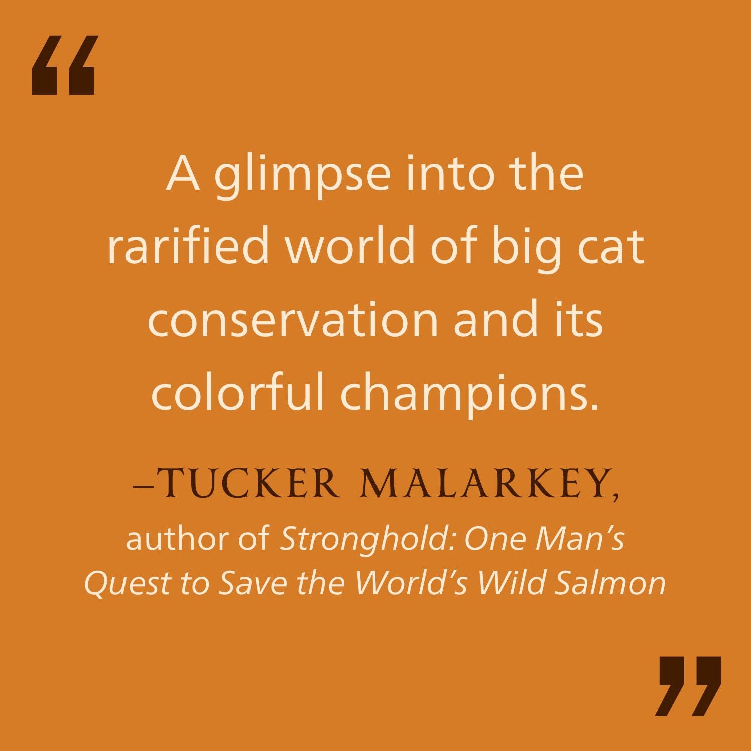 Heart of the Jaguar: The Extraordinary Conservation Effort to Save the Americas' Legendary Cat