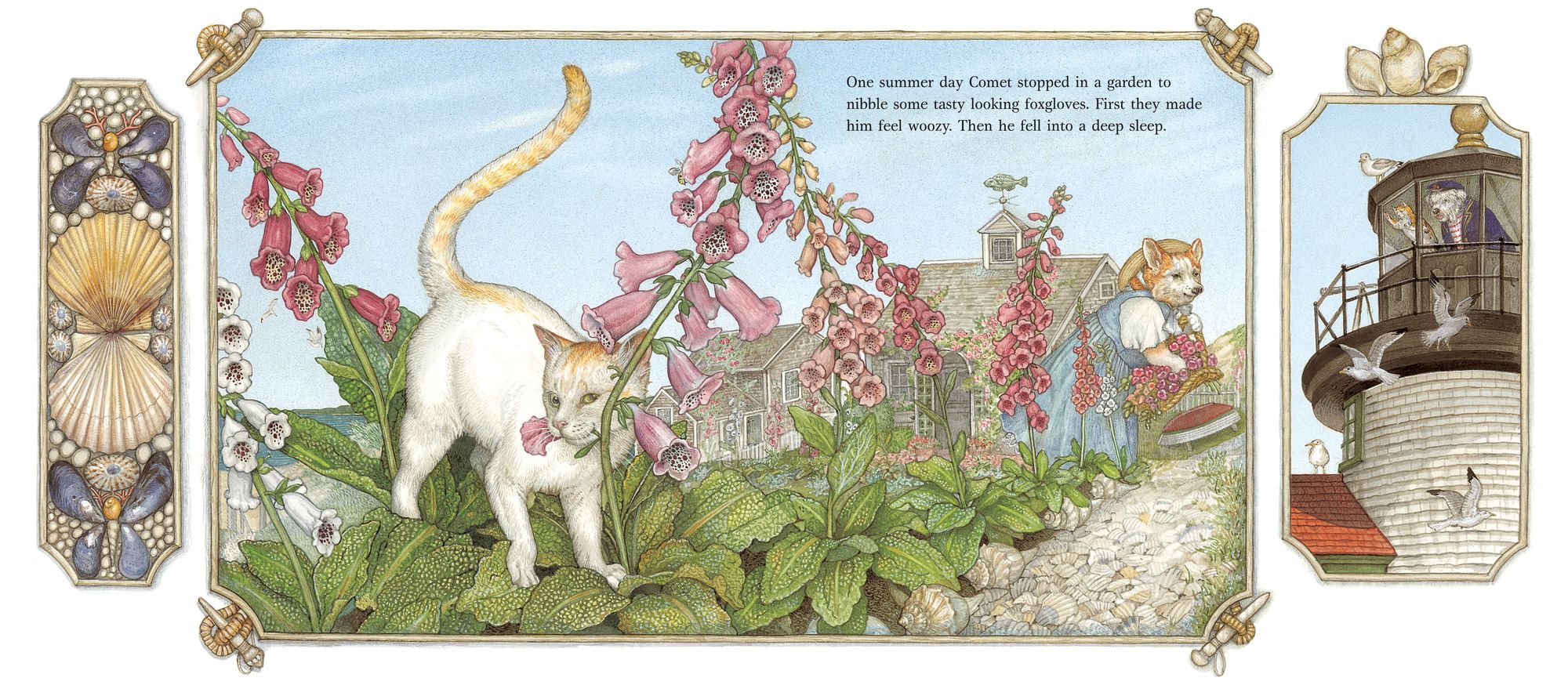 Comet's Nine Lives