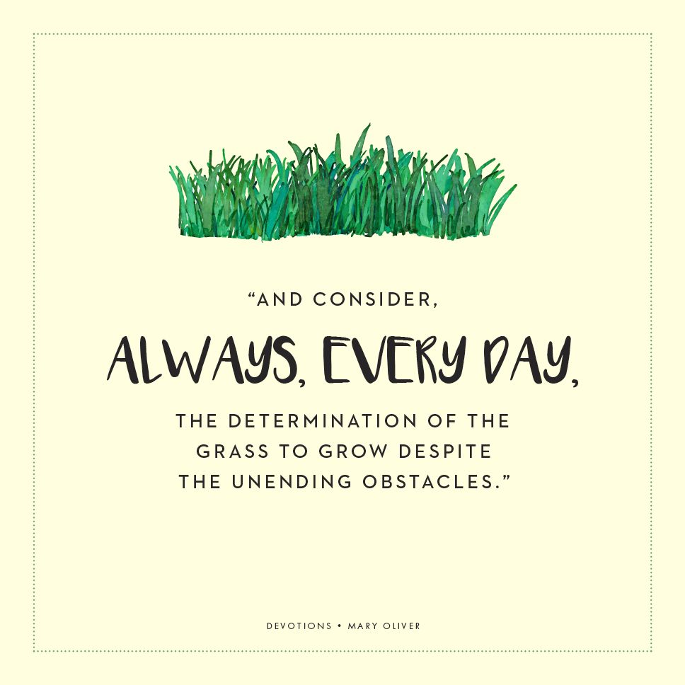 Devotions: The Selected Poems of Mary Oliver (Read with Jenna Pick)