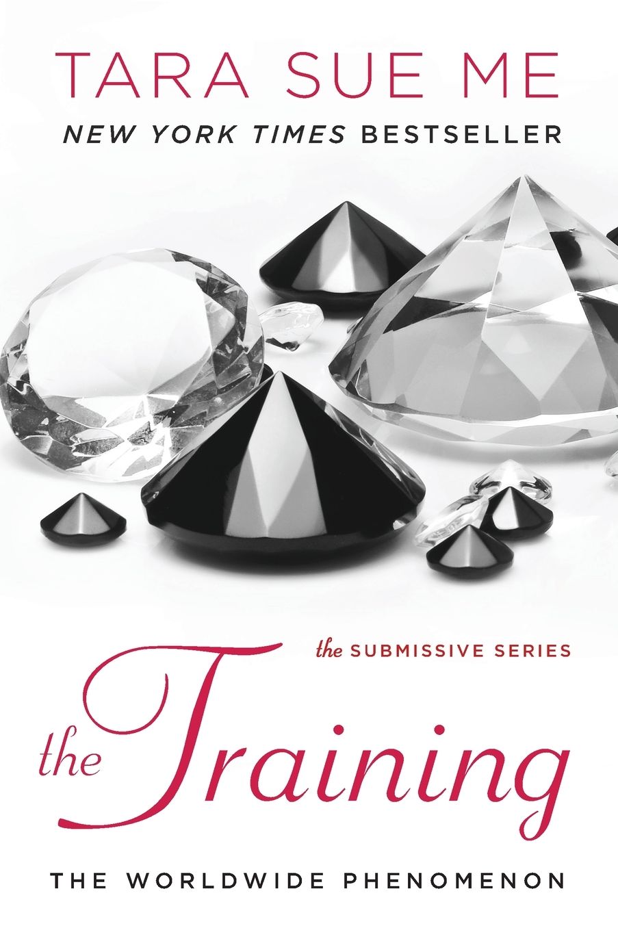 The Training (Submissive Series #3)