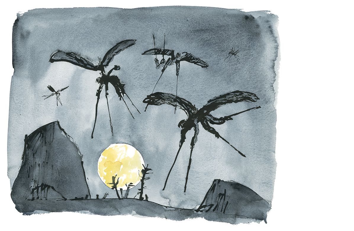 Moonlight Travellers