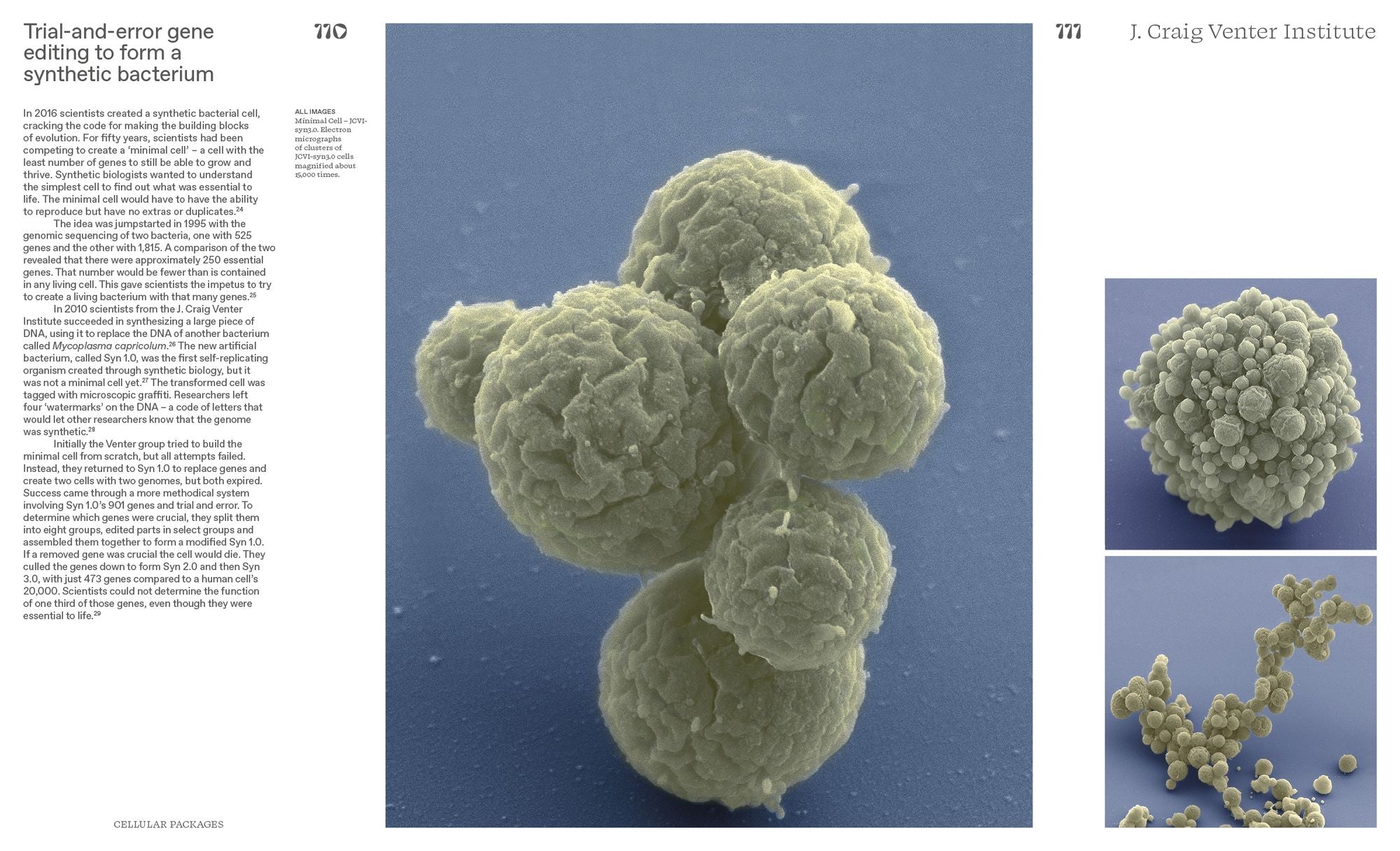 Alive: Synthetic Cells, Feral Robots, Rebellious AI, and the Design of Radical Life
