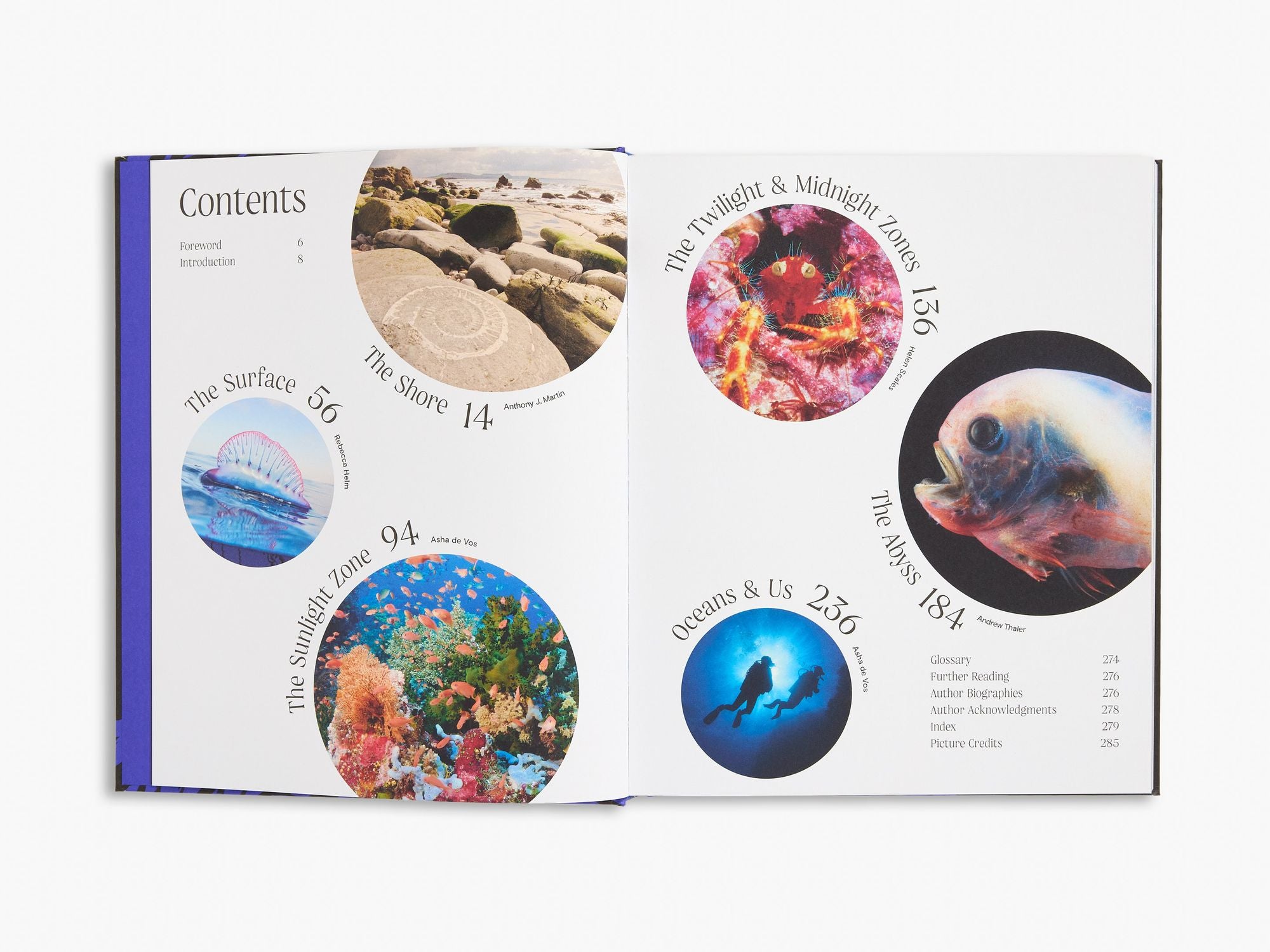 Ocean: From the Shore to the Abyss