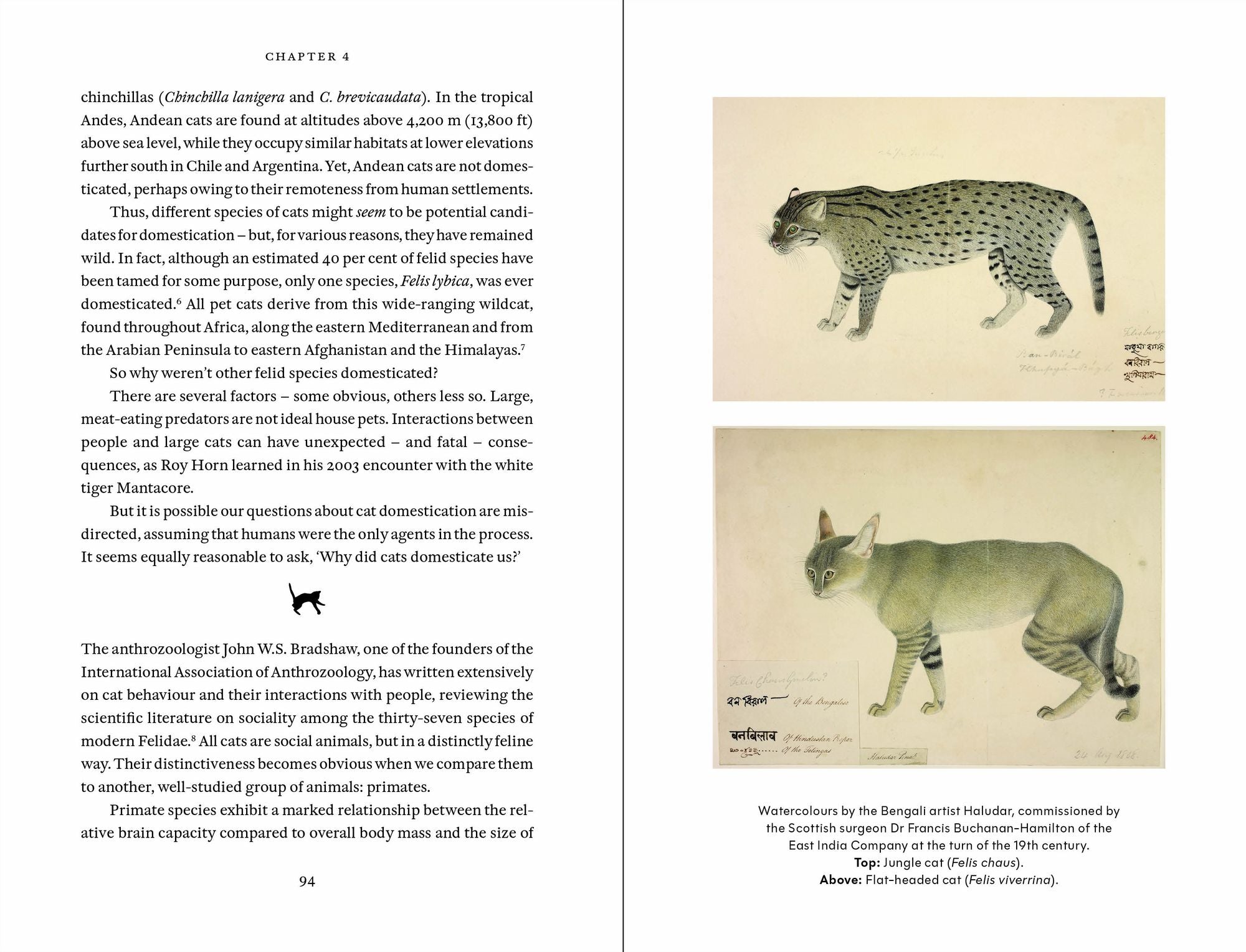 Cat Tales: A History
