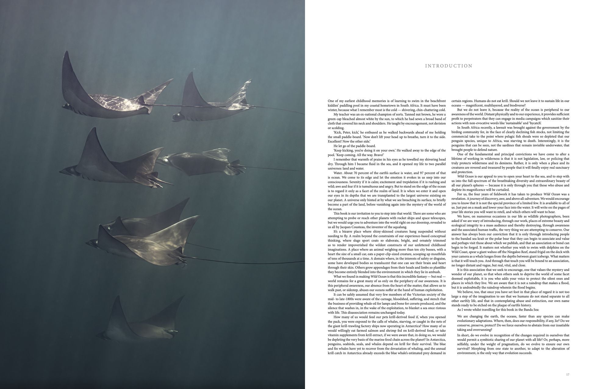 Wild Ocean: A Journey to the Earth's Last Wild Coasts