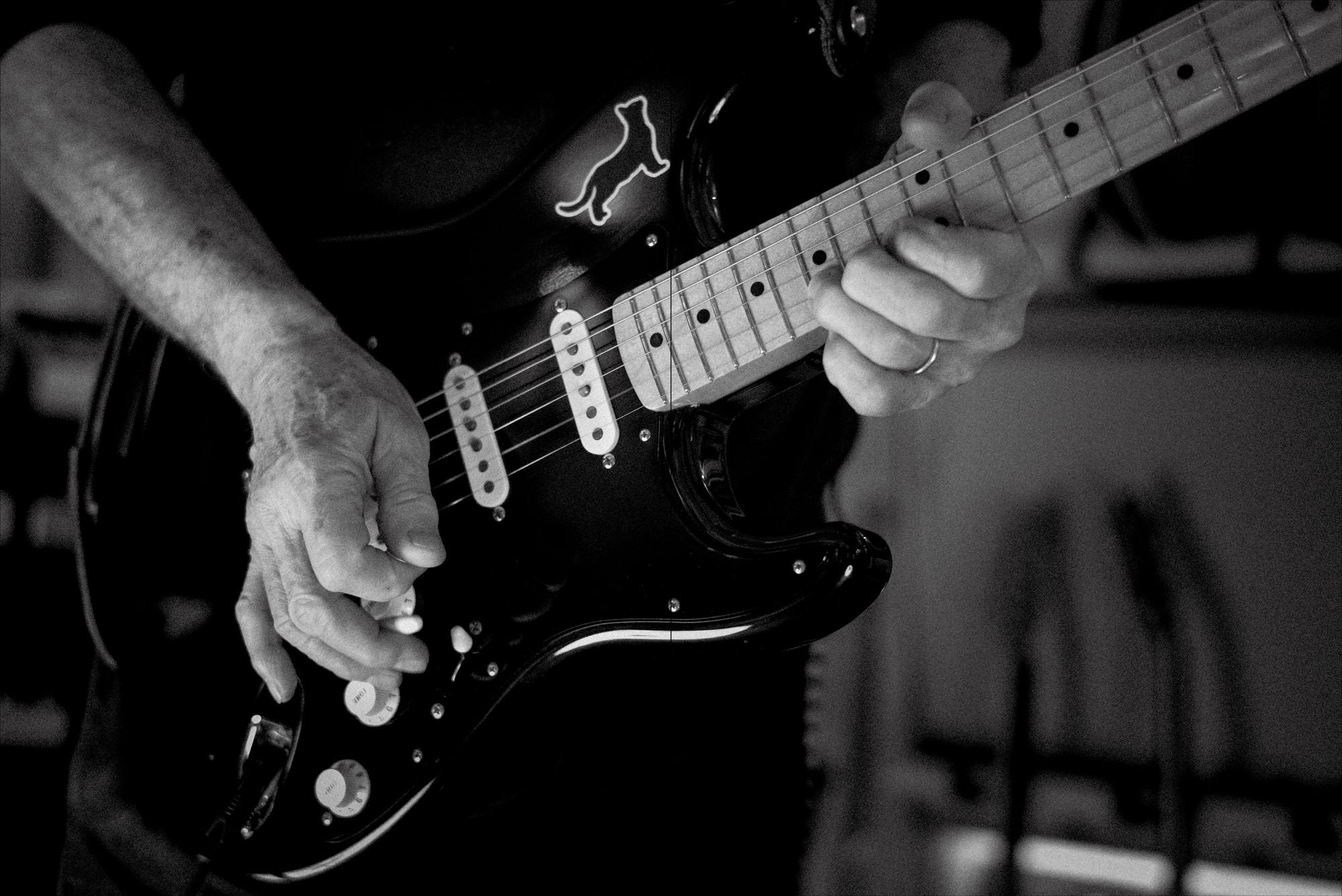 David Gilmour - Luck and Strange - Studio/Live