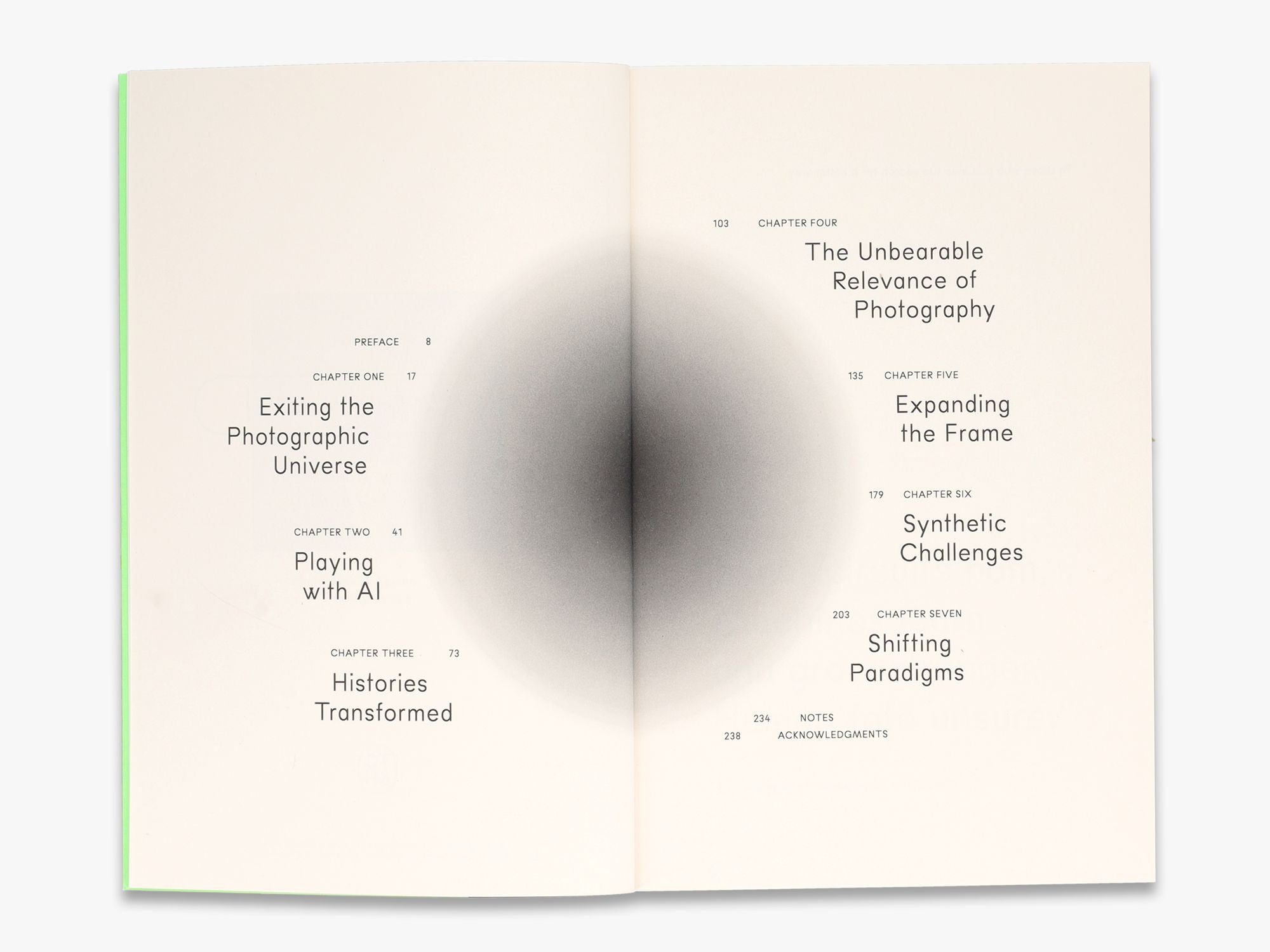 The Synthetic Eye: Photography Transformed in the Age of AI