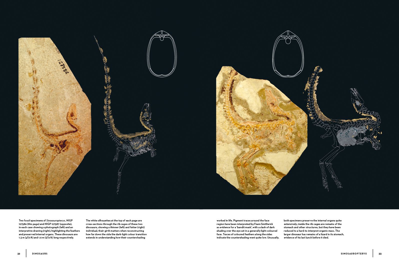 Dinosaurs: New Visions of a Lost World