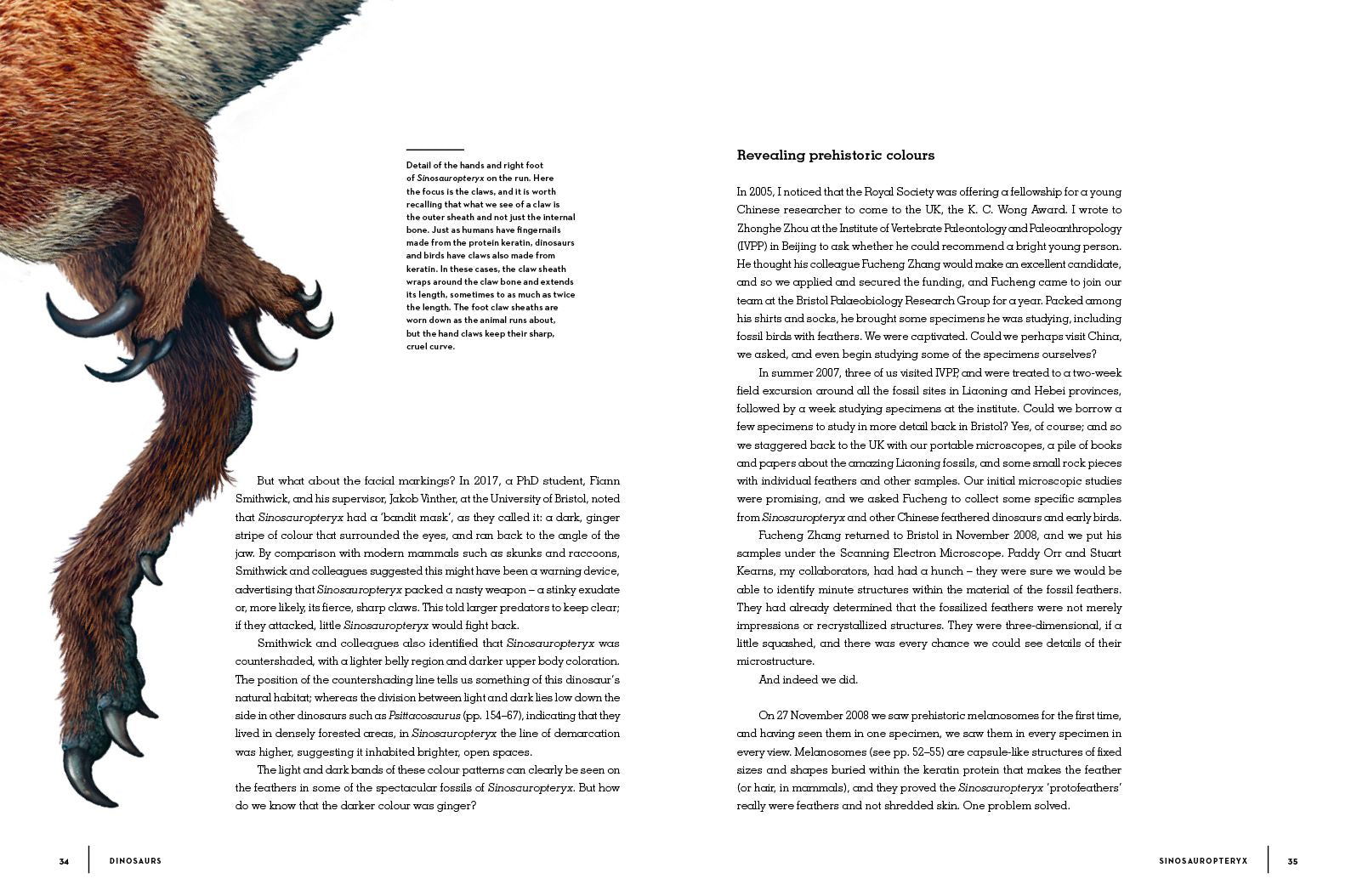 Dinosaurs: New Visions of a Lost World