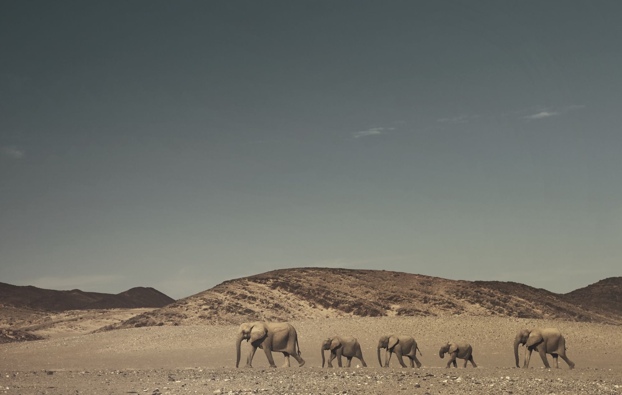 Wild Land: A Journey into the Earth's Last Wilds
