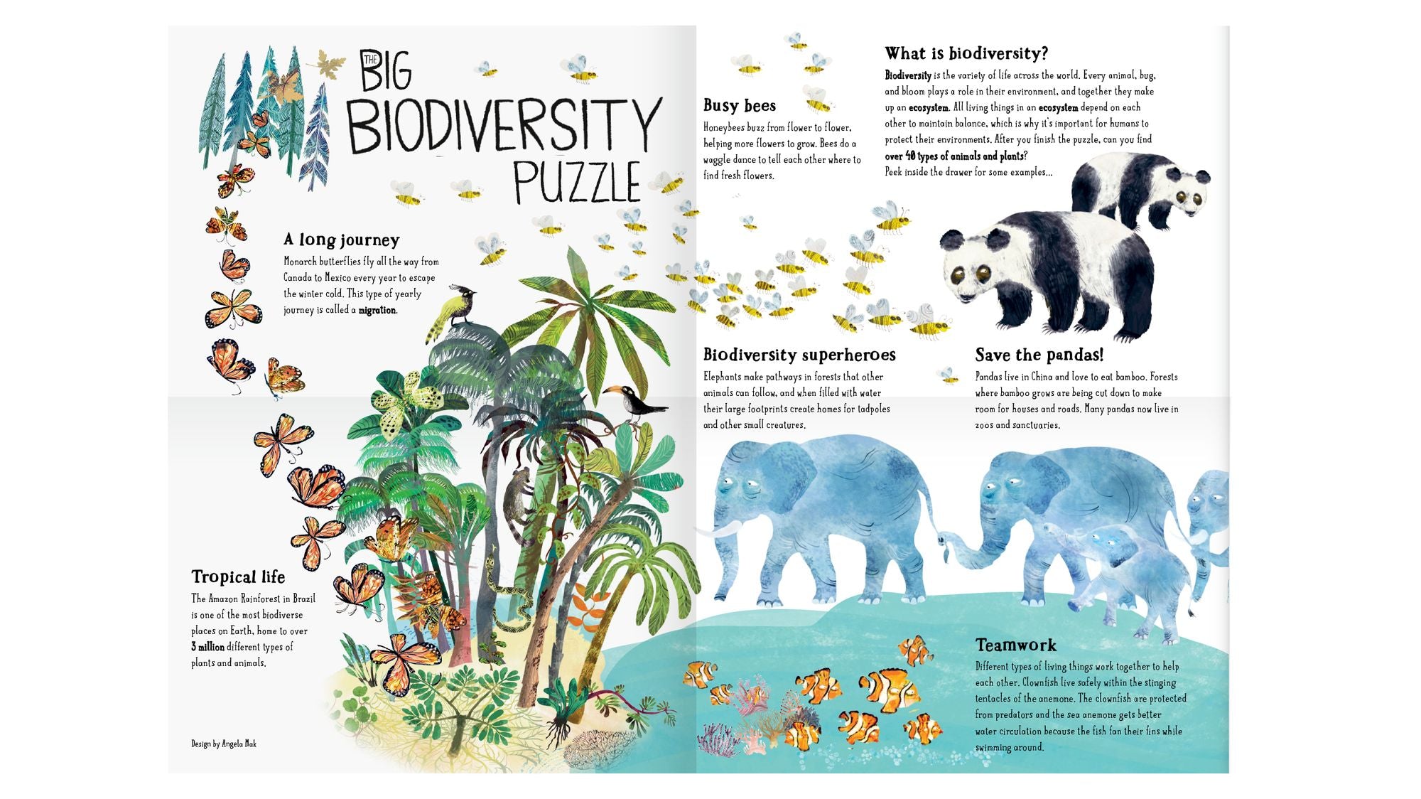 The Big Biodiversity Puzzle: A Shaped Jigsaw Puzzle