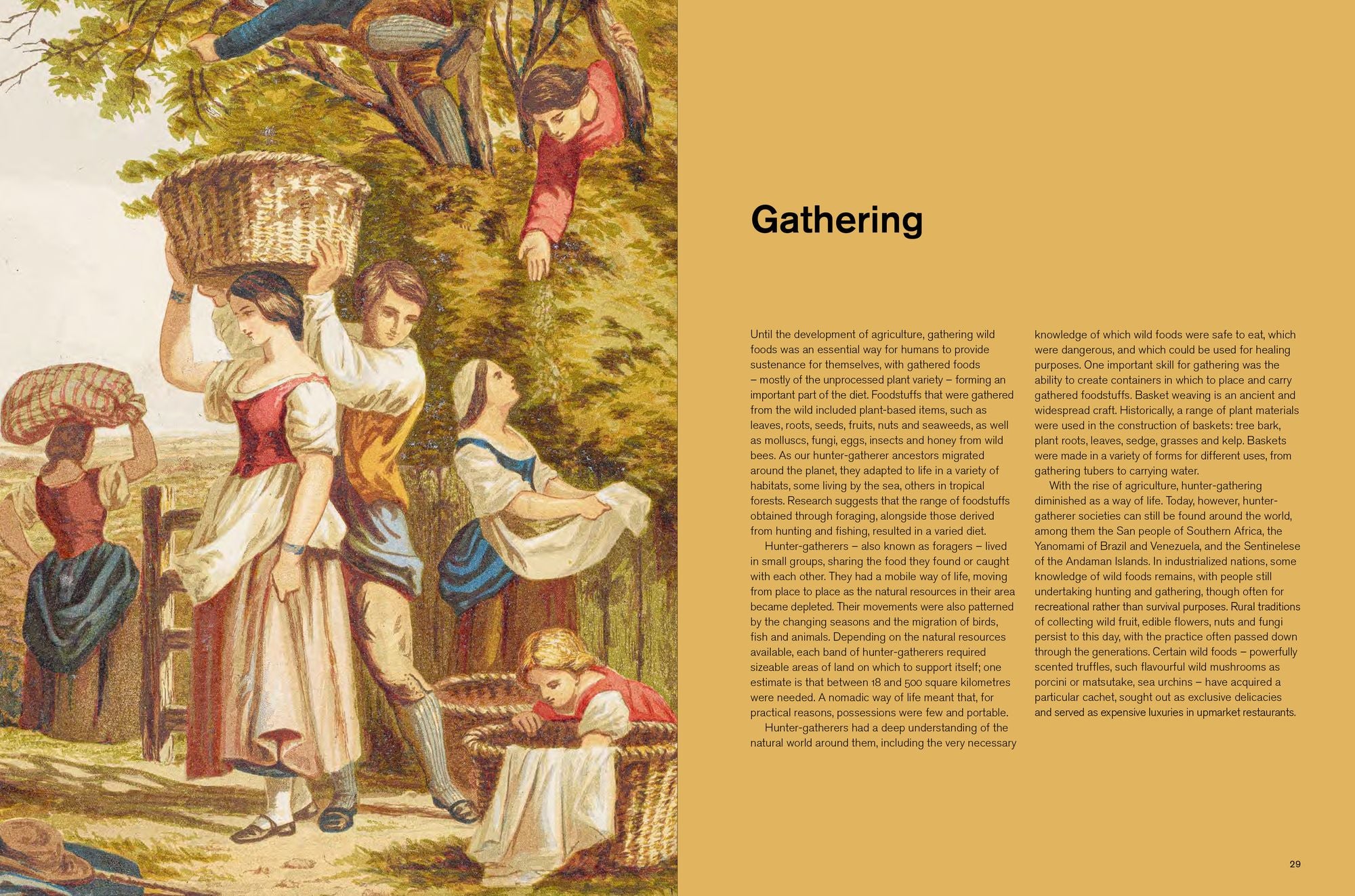 Repast: The Story of Food