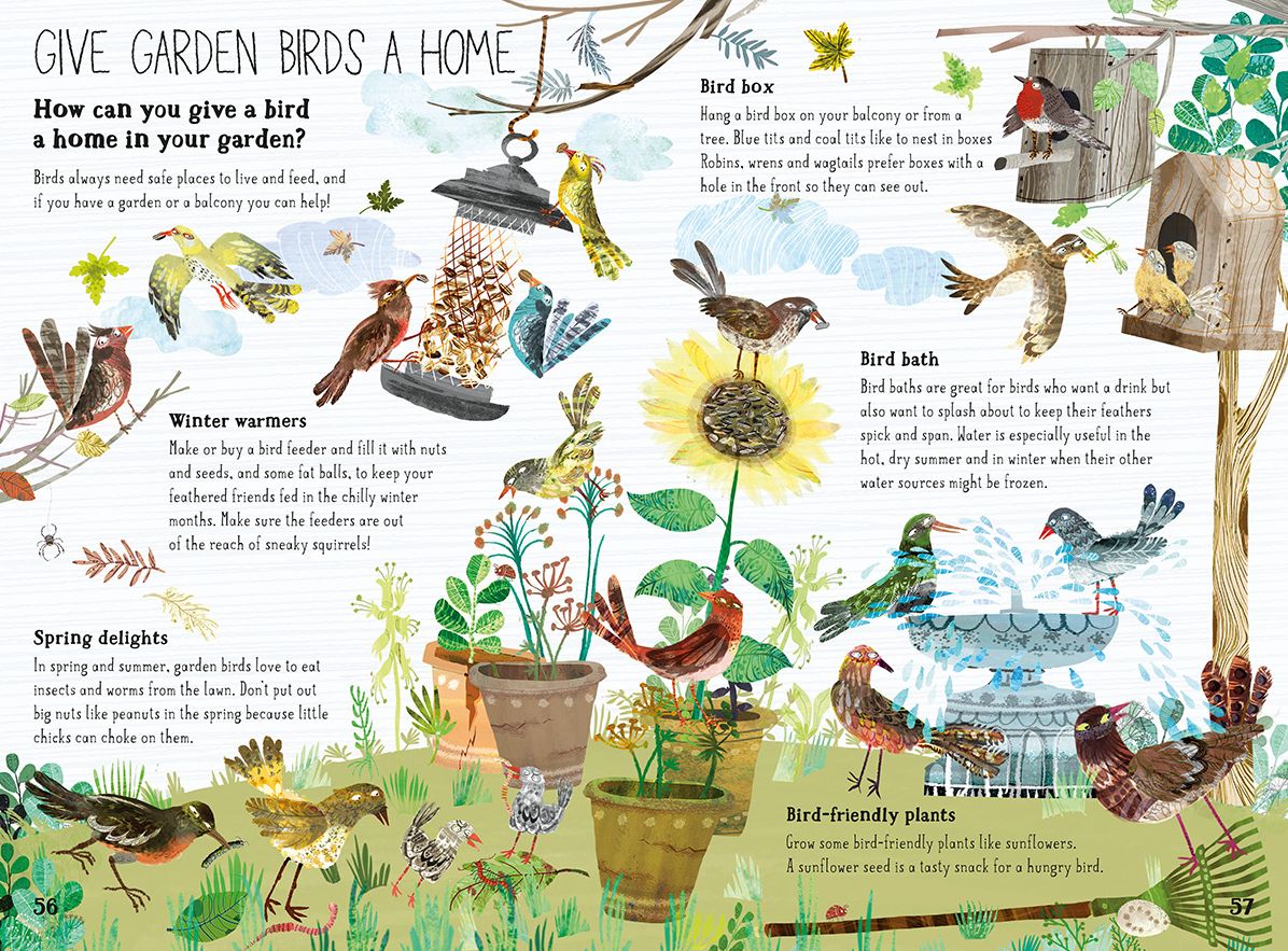 The Big Book of Birds