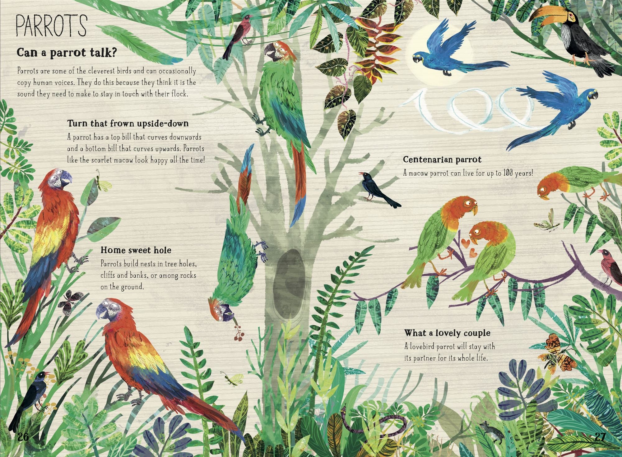 The Big Book of Birds