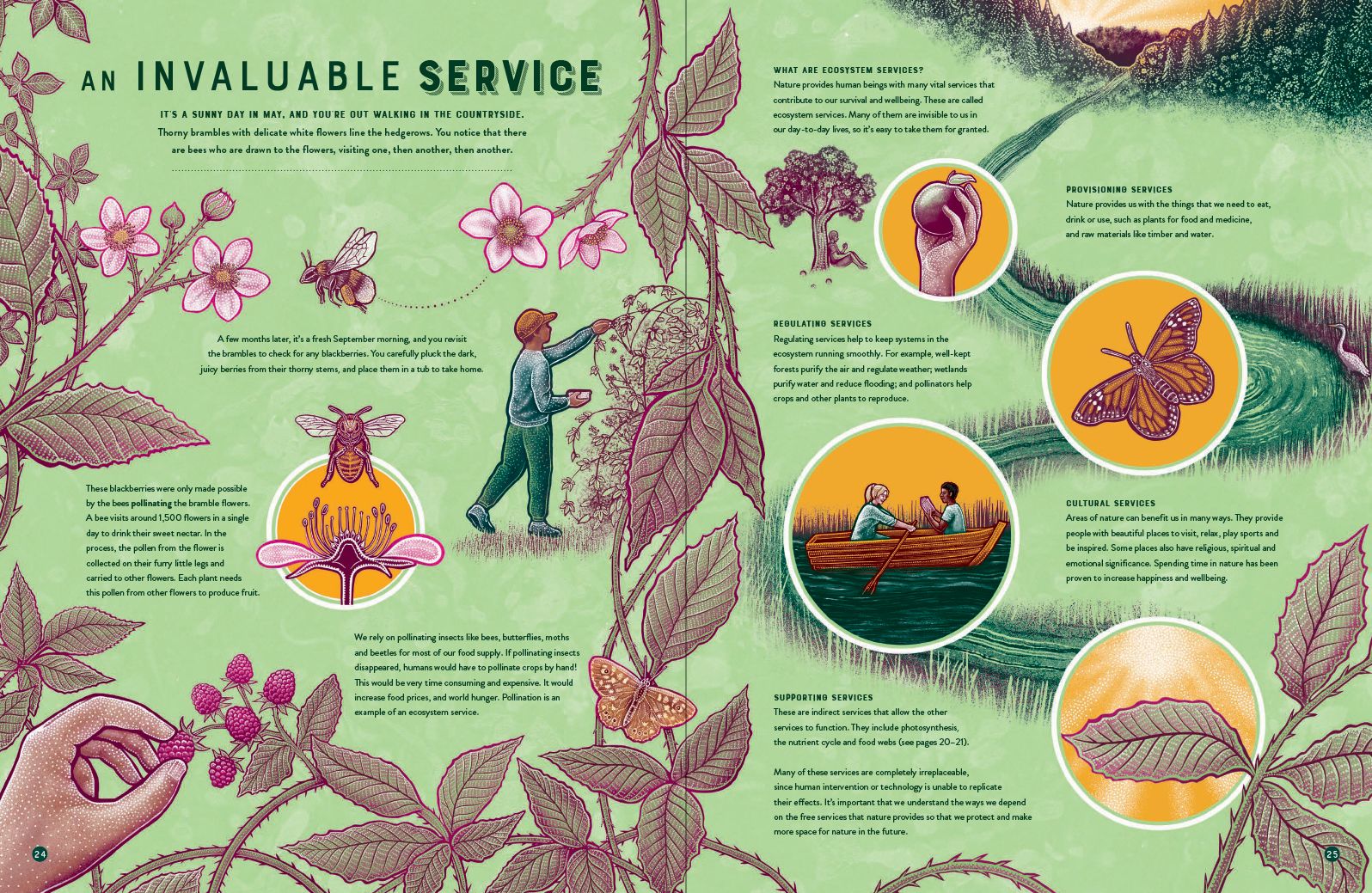 Life: The Wild Wonders of Biodiversity