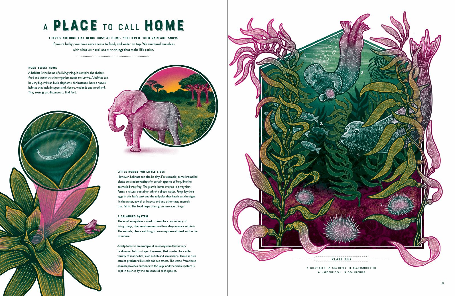 Life: The Wild Wonders of Biodiversity