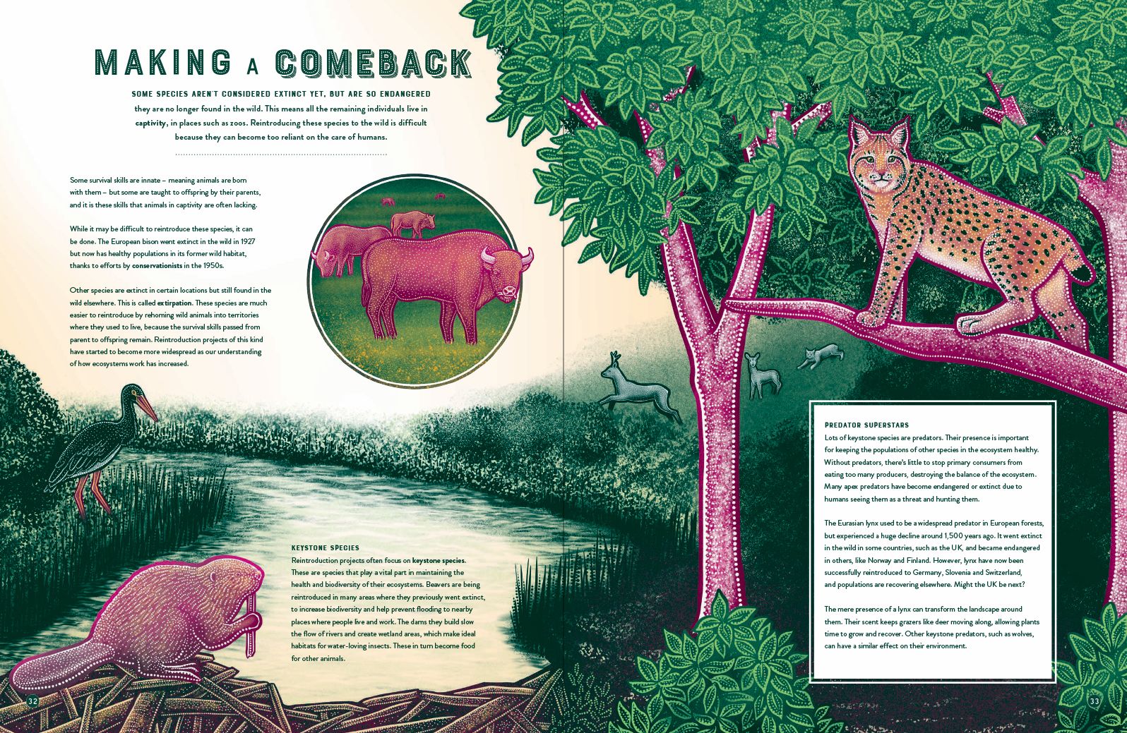 Life: The Wild Wonders of Biodiversity