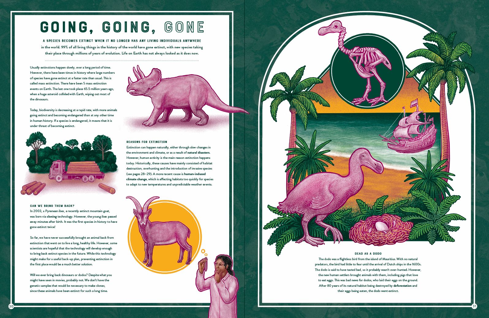 Life: The Wild Wonders of Biodiversity