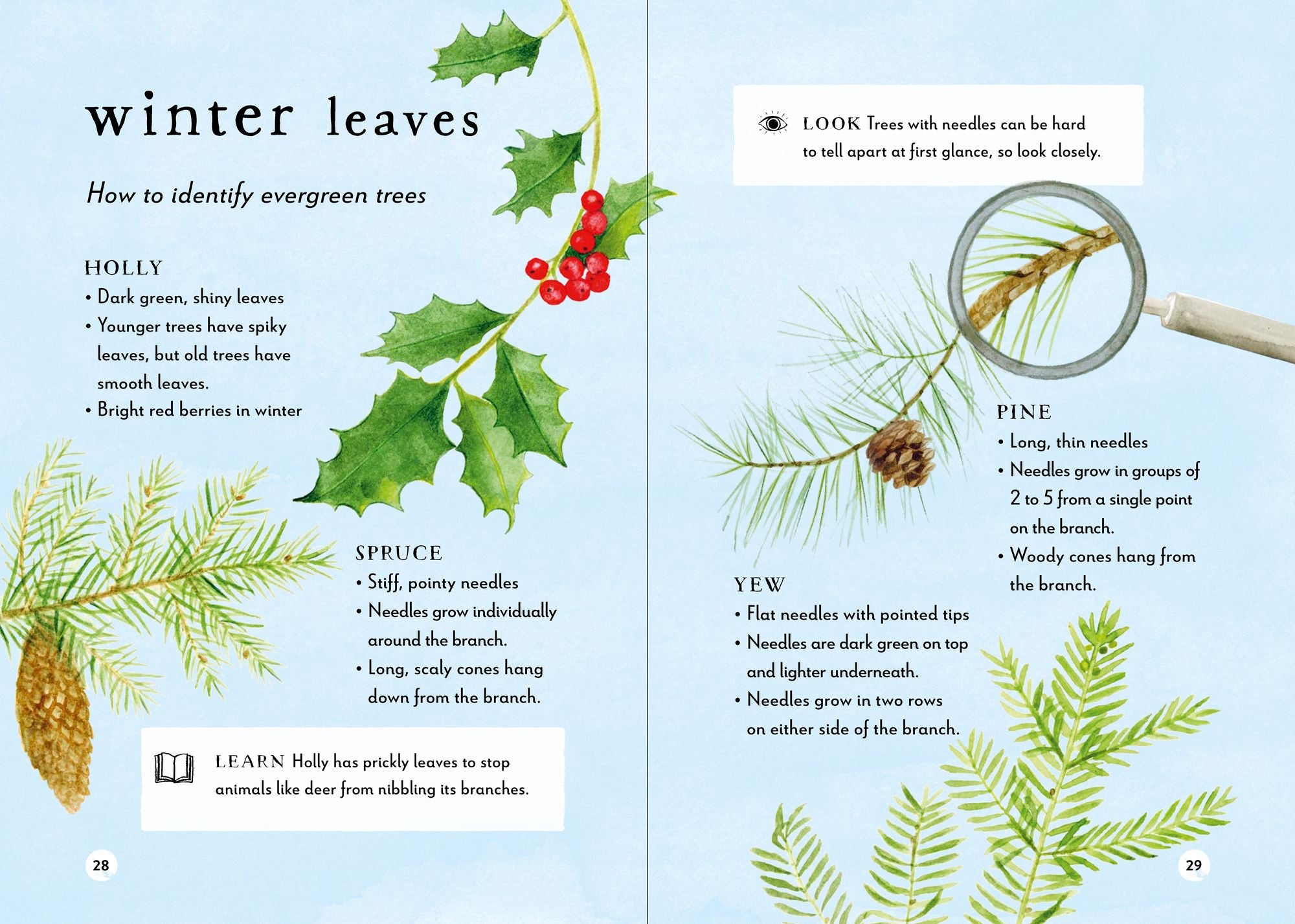 A Field Guide to Winter: Play and Learn in Nature
