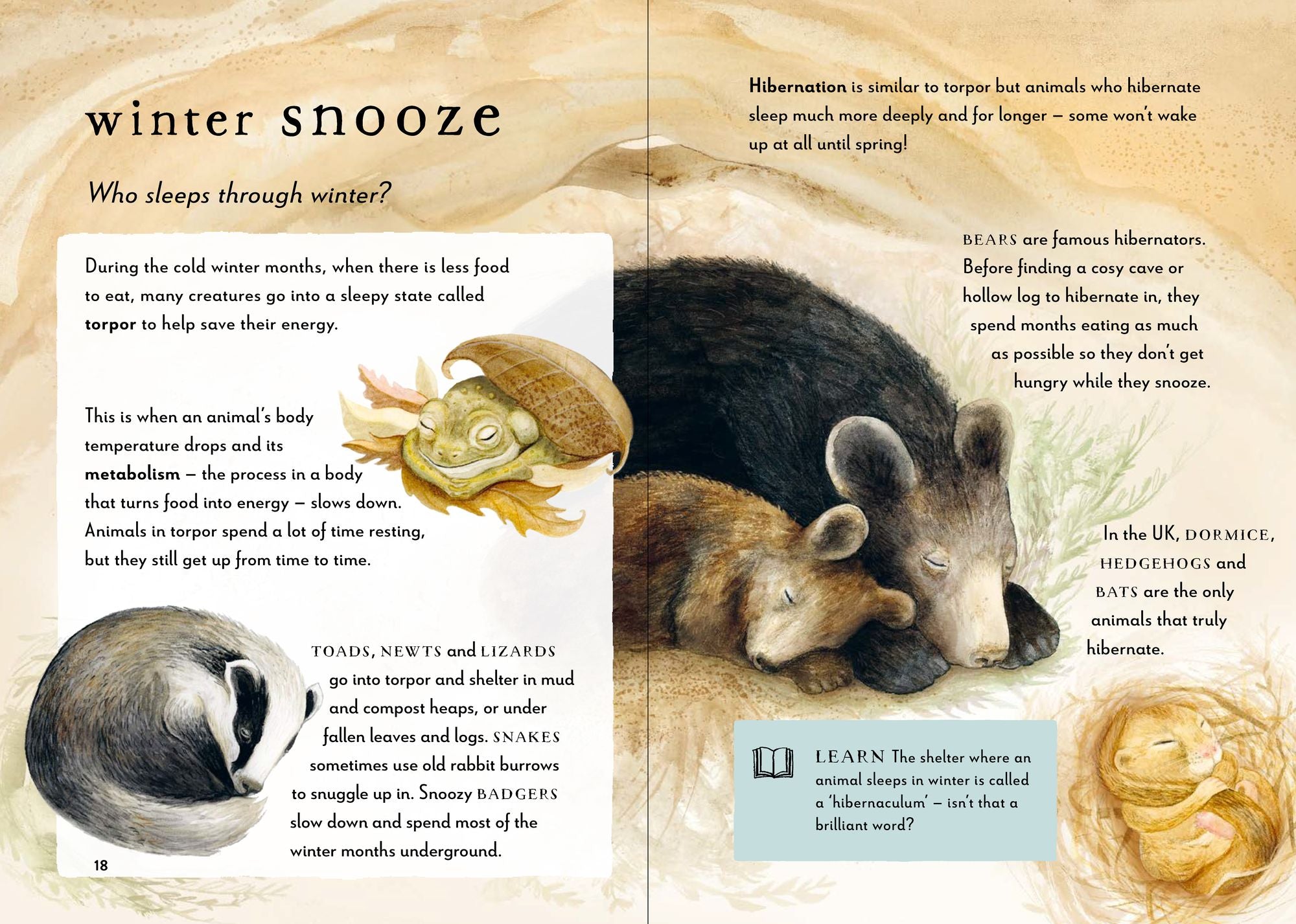 A Field Guide to Winter: Play and Learn in Nature