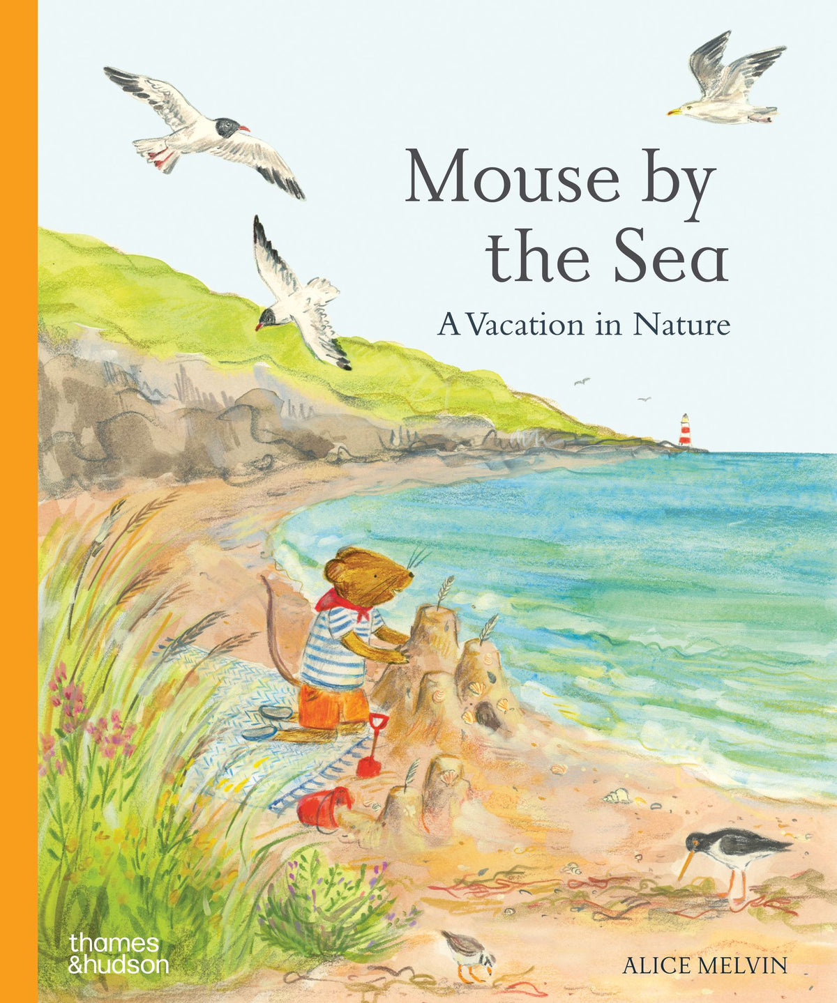Mouse by the Sea: A Vacation in Nature