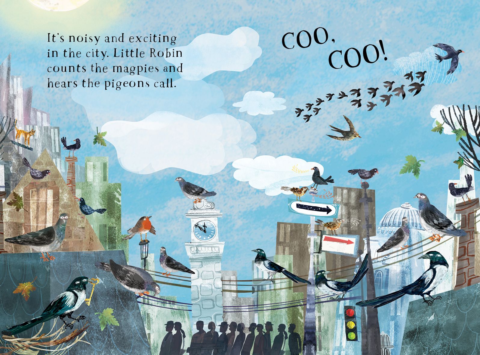 Little Robin's Book of Birds