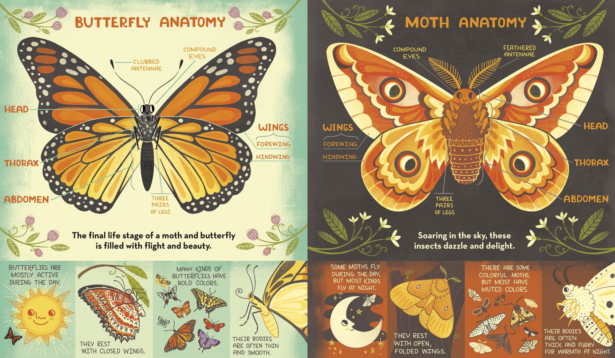 What's Inside a Caterpillar Cocoon?: And Other Questions About Moths & Butterflies