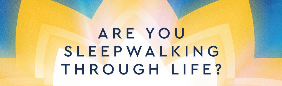 Awakening: The Path to Freedom and Enlightenment