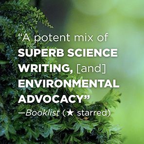 When the Forest Breathes: Renewal and Resilience in the Natural World