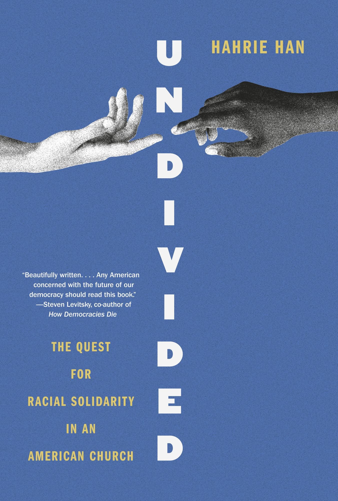Undivided: The Quest for Racial Solidarity in an American Church