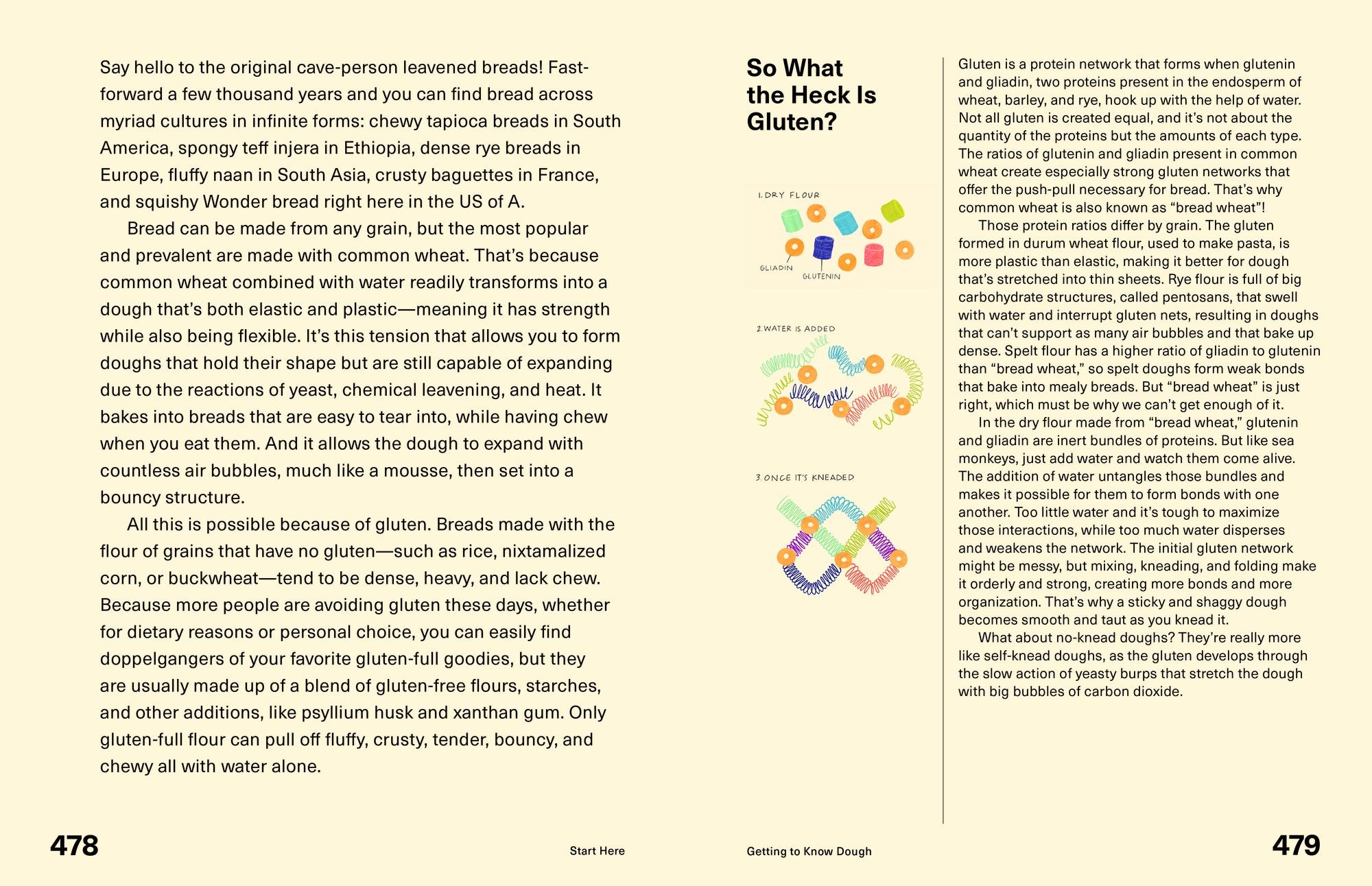 Start Here: Instructions for Becoming a Better Cook: A Cookbook