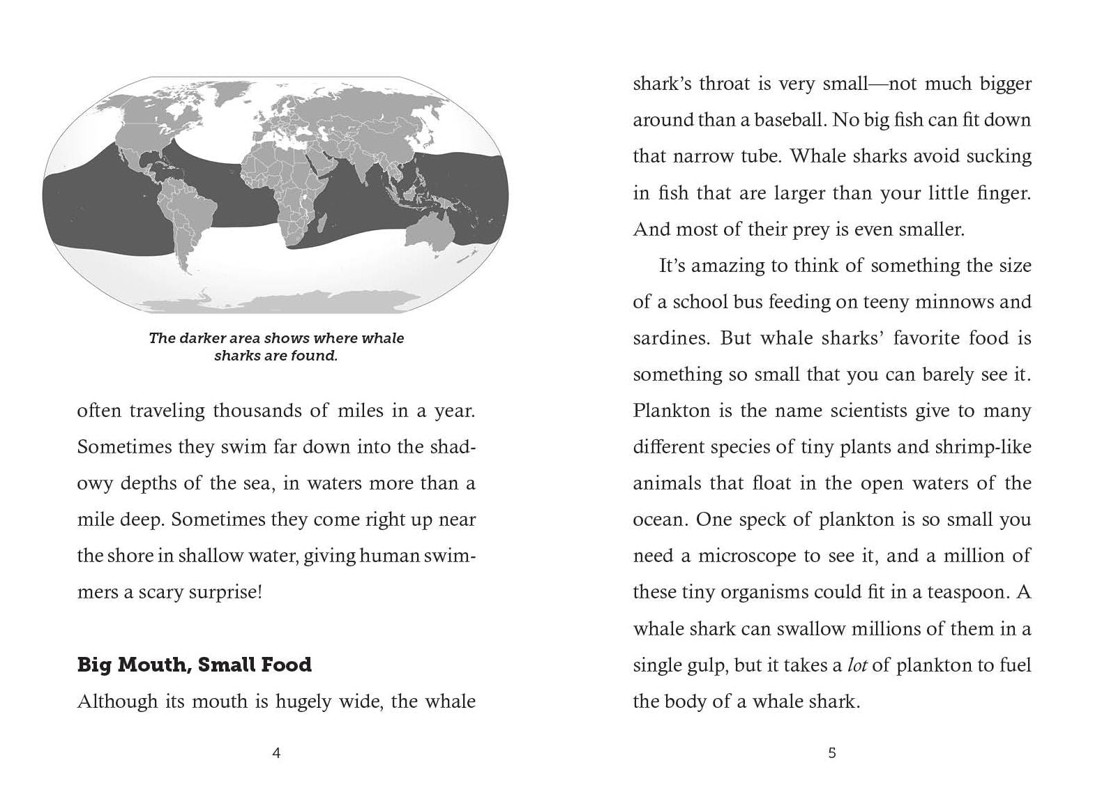 Save the...Whale Sharks