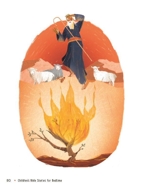 Childrens Bible Stories for Bedtime (Fully Illustrated): Gift Edition: To Grow in Faith & Love