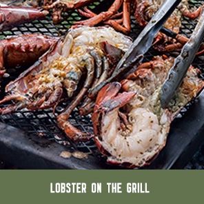 The MeatEater Outdoor Cookbook: Wild Game Recipes for the Grill, Smoker, Campstove, and Campfire