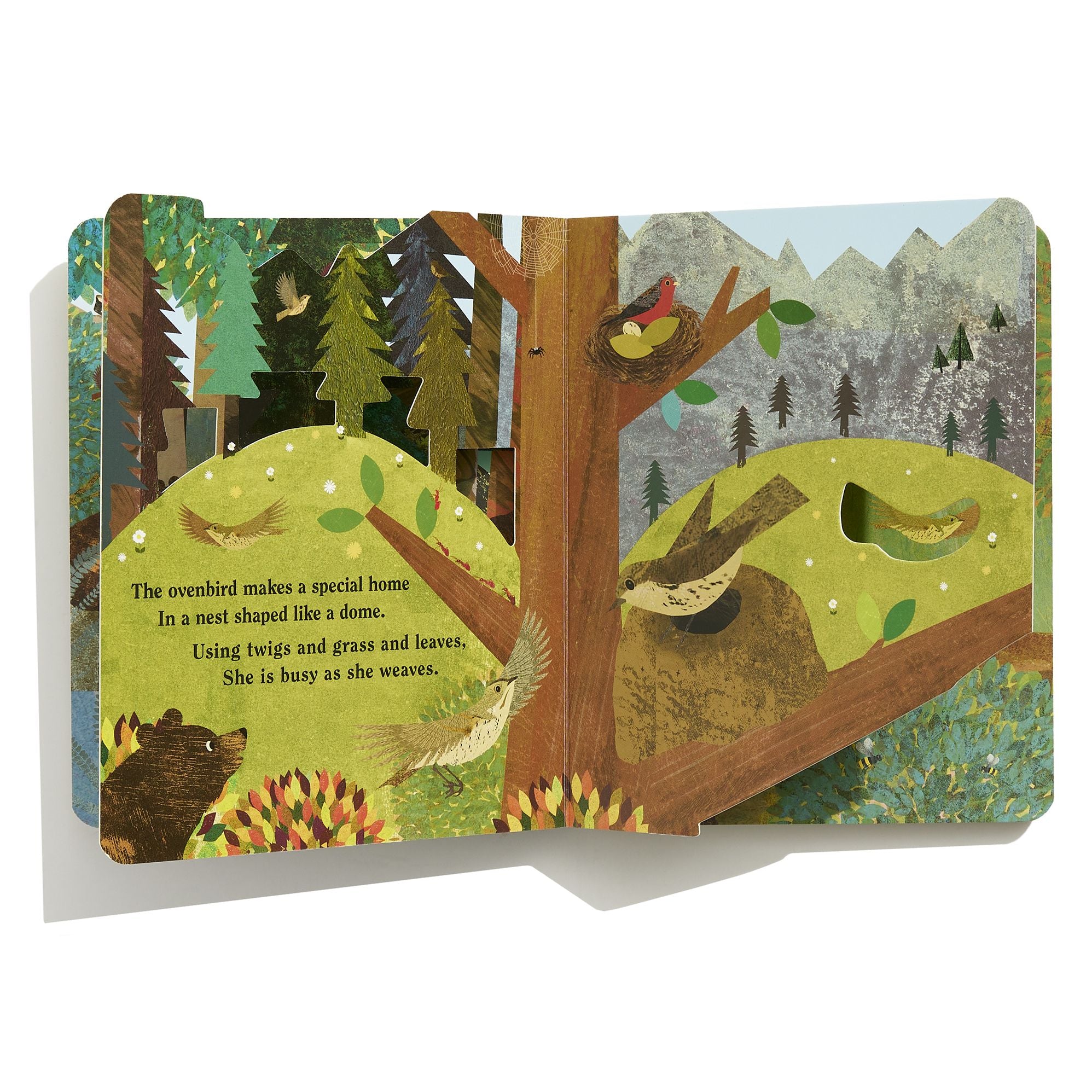 Home: A Peek-Through Board Book