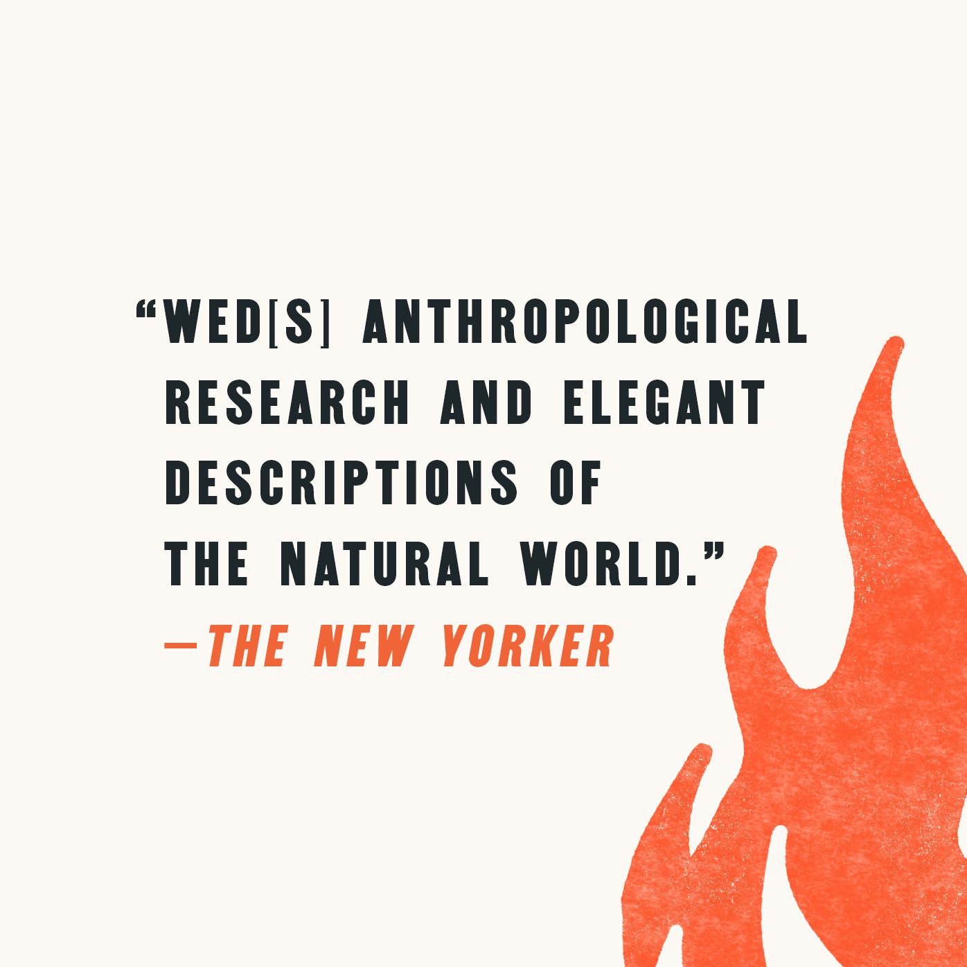 When It All Burns: What Megafires Reveal About Our Transformed World