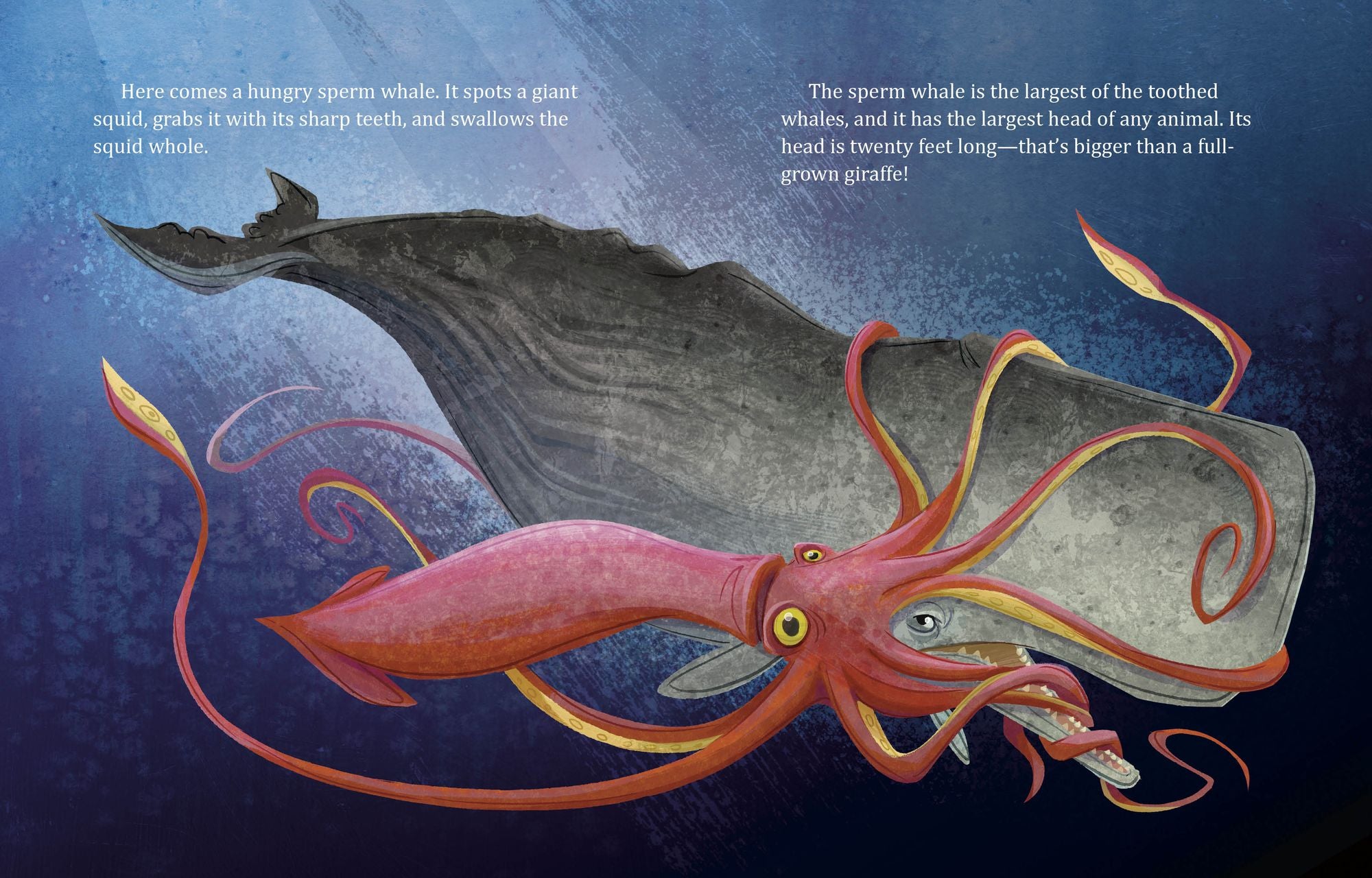 My Little Golden Book About Whales