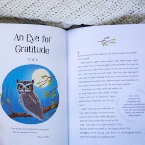Wild Faith Devotional for Kids: 52 Amazing Animals That Point to One Great God
