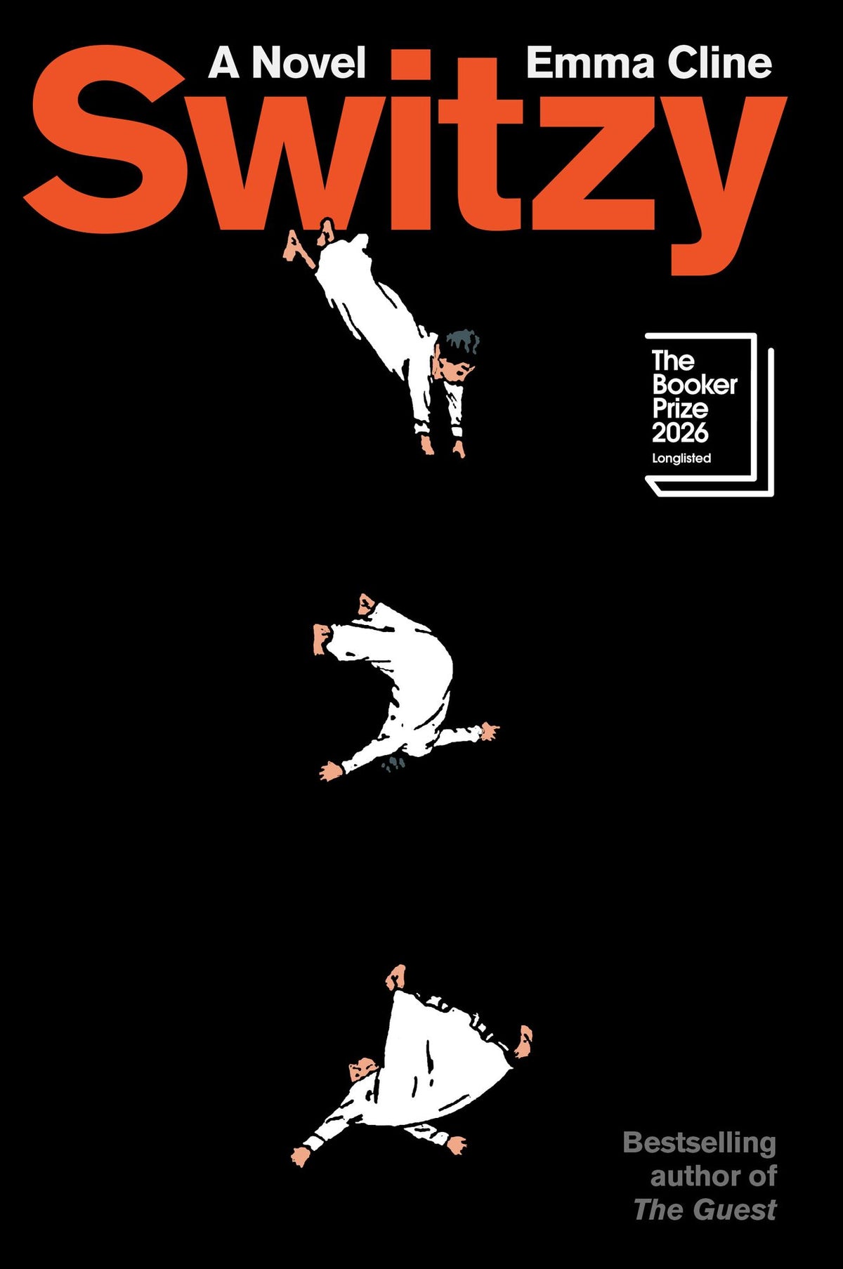 Switzy: A Novel
